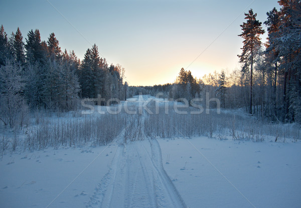 Invierno escena paisaje nieve belleza viaje Foto stock © fanfo