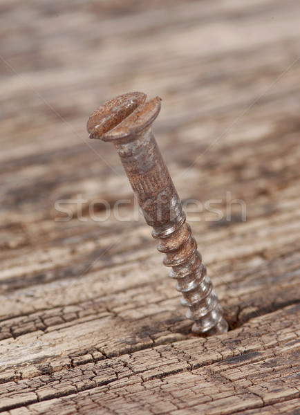 Stock photo: Wood screw