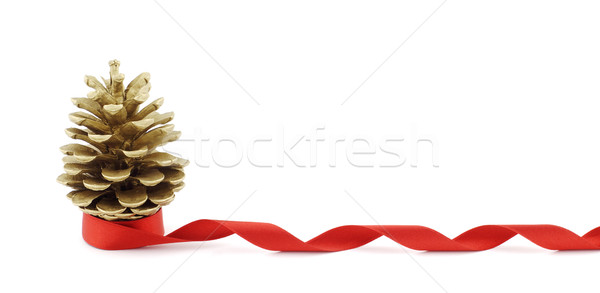 Ananas taśmy rana christmas brąz Zdjęcia stock © farres