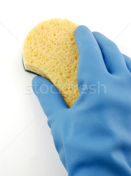 очистки синий перчатка работу чистой губки Сток-фото © farres