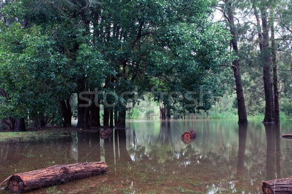 Overstroming Sydney noorden strand kosten geheel Stockfoto © fatalsweets