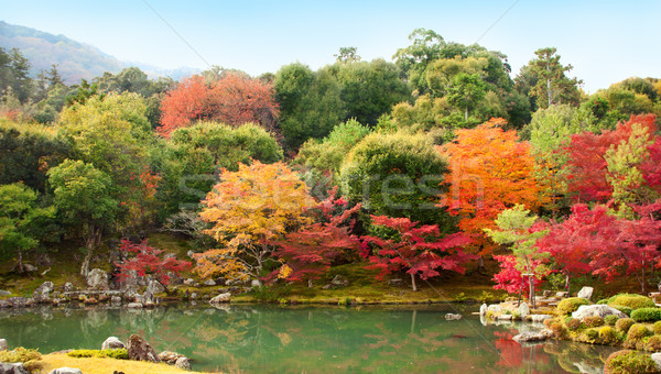Japonês jardim quioto outono 2012 árvore Foto stock © fatalsweets