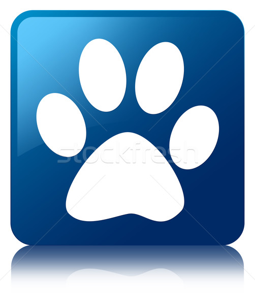 Animal footprint icon glossy blue reflected square button Stock photo © faysalfarhan