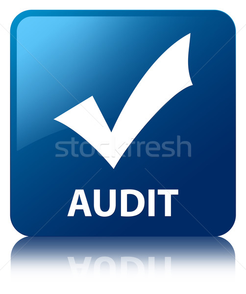 Audit icône bleu carré bouton Photo stock © faysalfarhan
