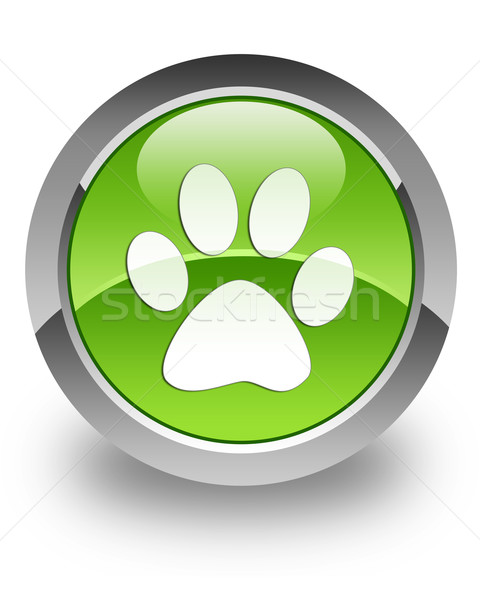 Animal footprint glossy icon Stock photo © faysalfarhan