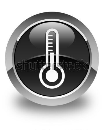Stock fotó: Hőmérő · ikon · fényes · fekete · gomb · fehér