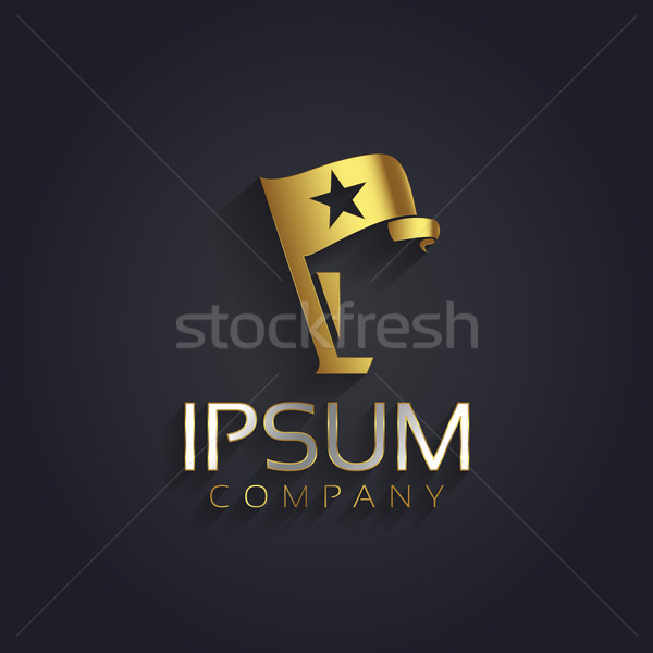 Vector grafische symbool bedrijf vlag star Stockfoto © feabornset
