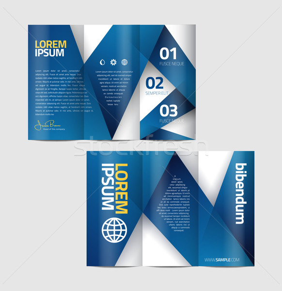 Vektor Grafik eleganten Business Broschüre Design Stock foto © feabornset