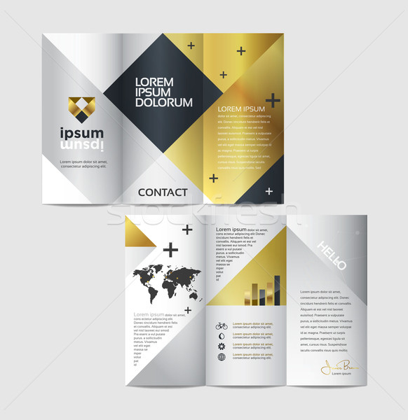 Vector graphic elegant business brochure design for your company Stock photo © feabornset