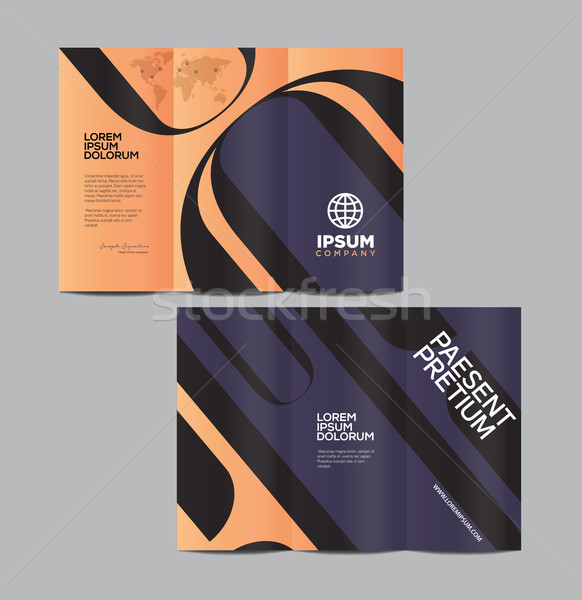Vector graphic elegant abstract business brochure design with sp Stock photo © feabornset