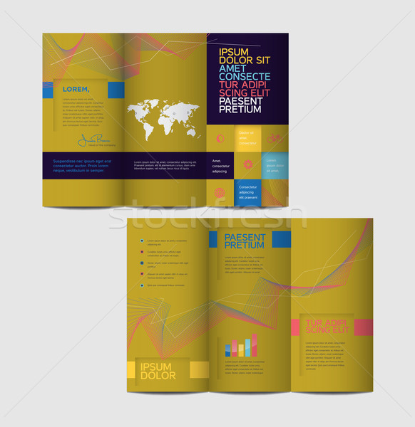 Vector graphic elegant business brochure design for your company Stock photo © feabornset