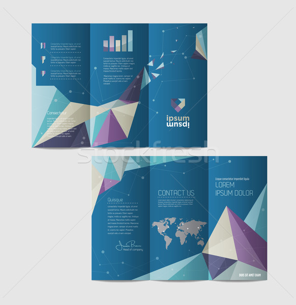 Vektor grafikus elegáns üzlet brosúra terv Stock fotó © feabornset