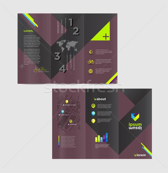 Vector graphic elegant business brochure design for your company Stock photo © feabornset