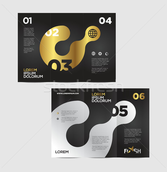 Vector graphic elegant business brochure design for your company Stock photo © feabornset