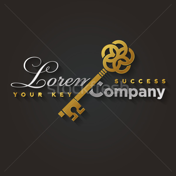 Stock photo: Vector graphic gold and silver key shaped symbol with sample tex