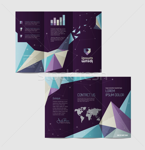 Vector graphic elegant business brochure design for your company Stock photo © feabornset