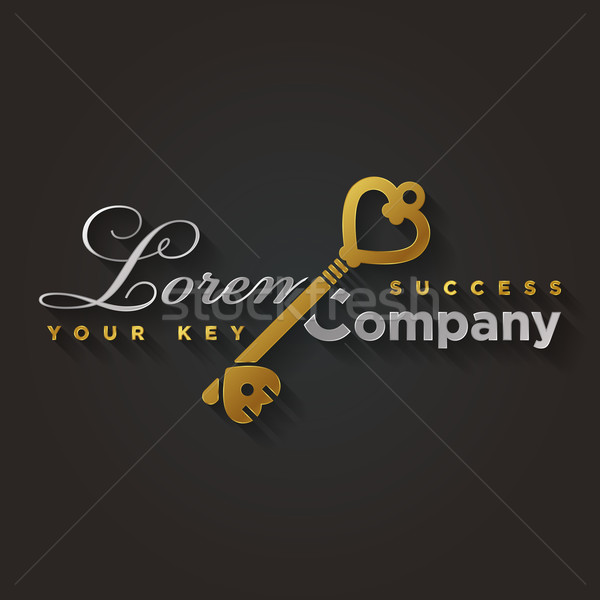 Vector graphic gold and silver key shaped symbol with sample tex Stock photo © feabornset