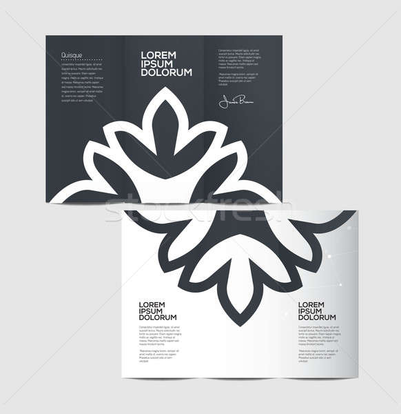 Vector grafische elegante business brochure ontwerp Stockfoto © feabornset