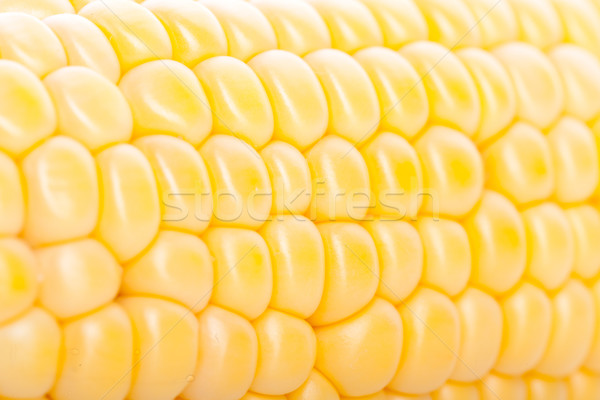 corn pieces on the cob Stock photo © feedough
