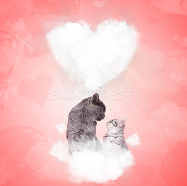 in love cats sitting on a puffy cloud celebrate valentine's Stock photo © feedough