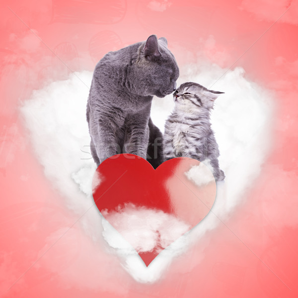 Foto stock: Amor · gatos · beijando · coração · nuvem