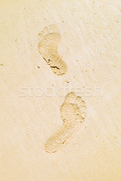 foot prints inthe sand of the beach Stock photo © feedough
