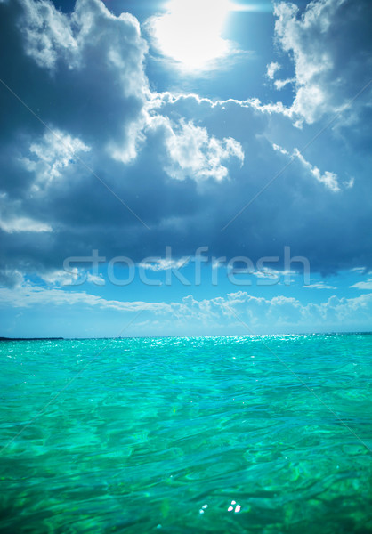 beautiful waters of the caribbean sea near saona island Stock photo © feedough