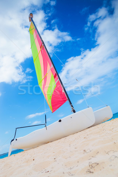 Katamarán vitorlázik csónak tengerpart Dominikai Köztársaság víz Stock fotó © feedough