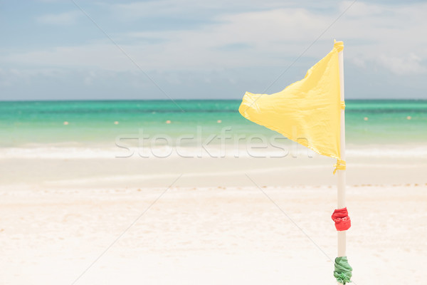 Warning yellow flag Stock photo © feedough