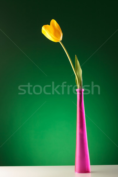 Belle jaune tulipe rose vase réfléchissant [[stock_photo]] © feedough