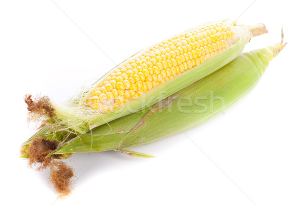 unpeeled corn cob Stock photo © feedough