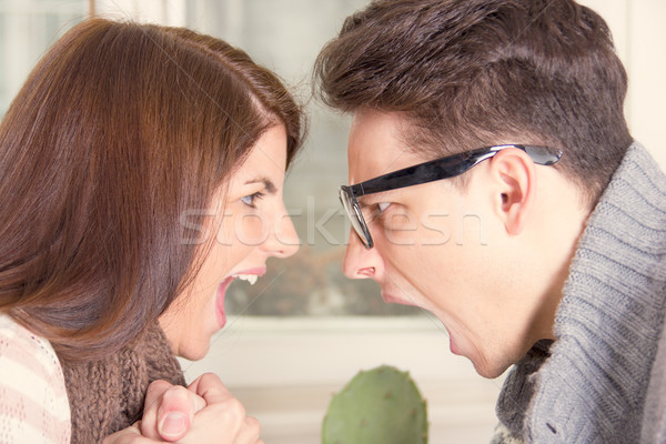 Twee mensen schreeuwen ander vrouw gezicht Stockfoto © feelphotoart