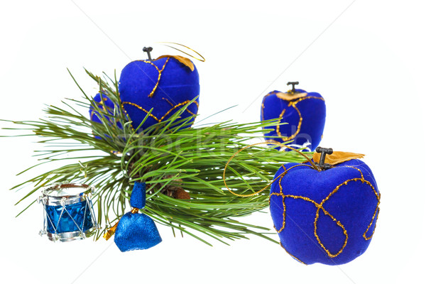 Decorativo azul pinho natal Foto stock © feelphotoart