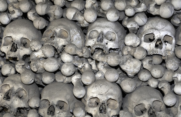 Insan kemikleri Çek Cumhuriyeti vücut ölü korku Stok fotoğraf © FER737NG