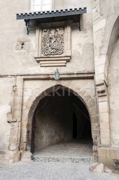 Castle door. Stock photo © FER737NG