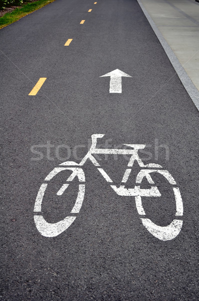 Foto d'archivio: Bicicletta · corsia · segno · verniciato · asfalto · strada