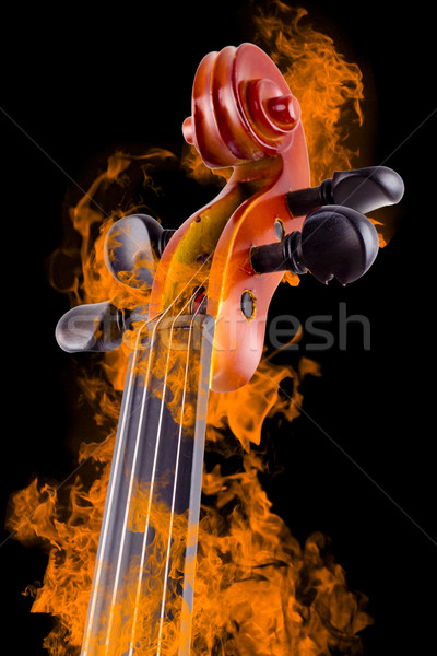 燃焼 バイオリン 芸術 サウンド 白 アンティーク ストックフォト © Fernando_Cortes