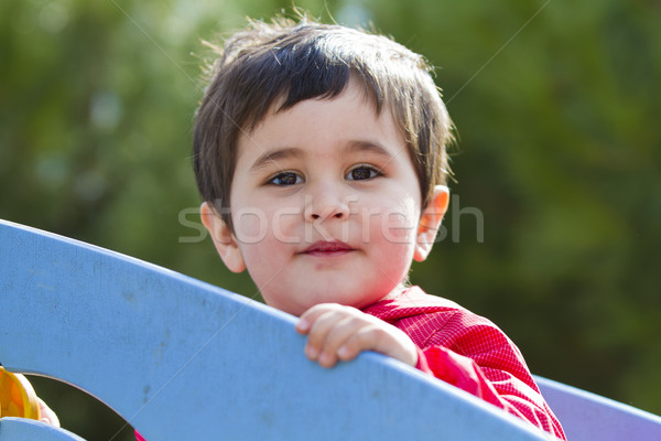 Bonitinho pequeno bebê menino jogar parque Foto stock © Fernando_Cortes