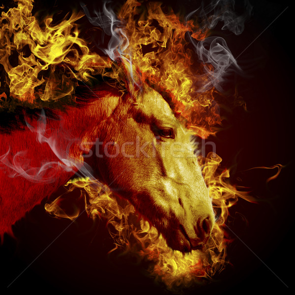 Zdjęcia stock: Hot · konia · palenie · zwierząt · ognia