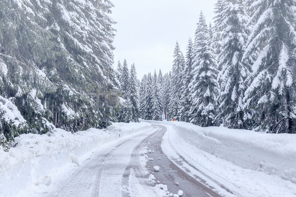 Snowy winter road in Julian Alps Stock photo © Fesus