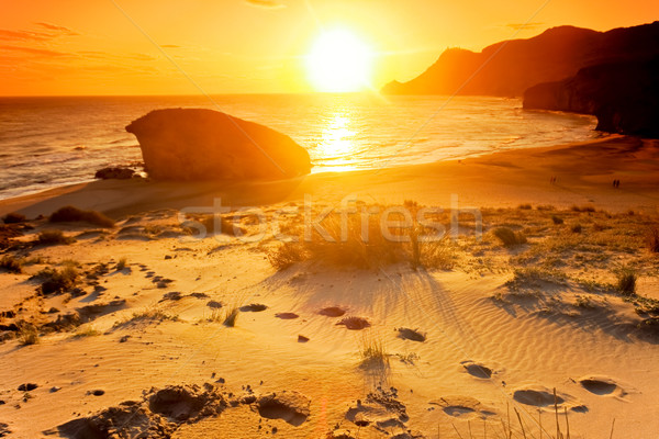 Plajă natural parc Spania peisaj vară Imagine de stoc © Fesus