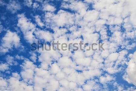 Amazing cumulus cloud formation in deep blue sky Stock photo © Fesus