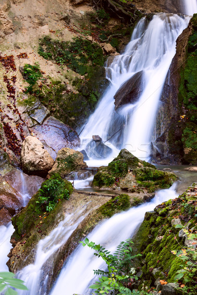 waterfall in deep forest  Stock photo © Fesus