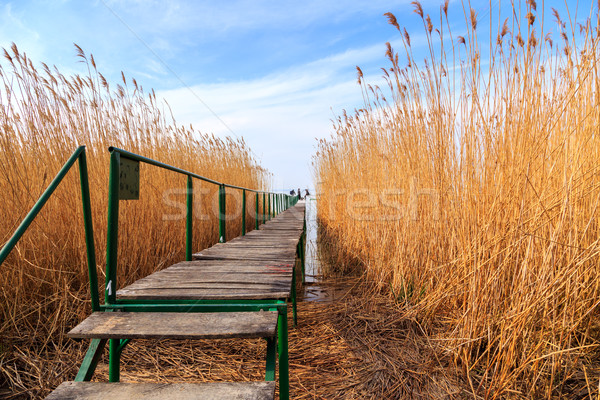 Wooden pier in tranquil lake Balaton Stock photo © Fesus