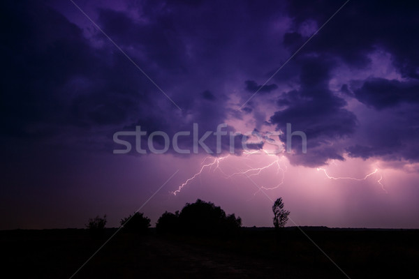 Wolken Donner Gewitterwolken Sturm Ungarn Baum Stock foto © Fesus