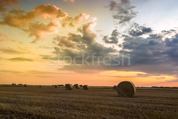 Sunset over farm field with hay bales Stock photo © Fesus