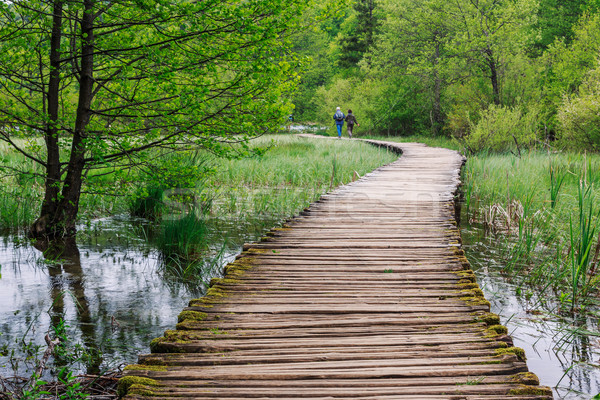 Boardwalk in the park Plitvice lakes Stock photo © Fesus