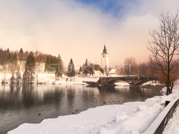Bohinj lake in winter, Slovenia Stock photo © Fesus