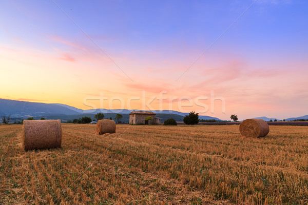 Sunset over farm field with hay bales near Sault Stock photo © Fesus