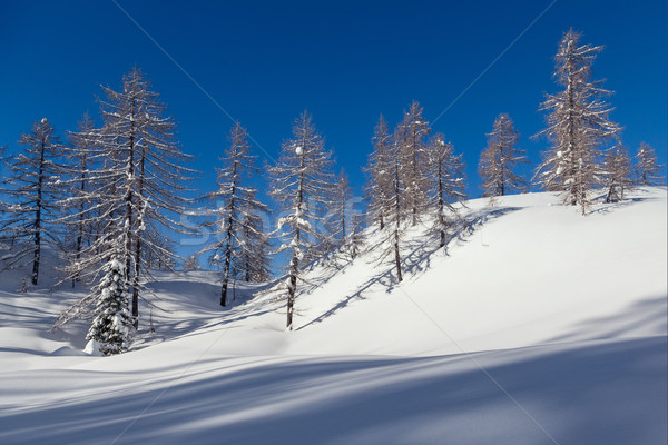 Сток-фото: зима · пейзаж · лыжных · центр · гор · Альпы